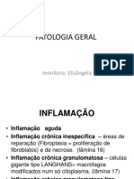 REVISAO Patologia 2 Prova Biomed