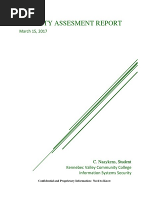 security assessment report
