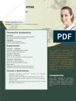 Formato de Curriculum Vitae