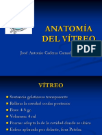Anatomía del Vítreo (FHNSL).ppt