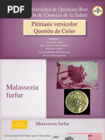 Pitiriasis Versicolor y Querion de Celso