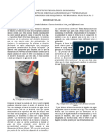 Reporte Biomoleculas