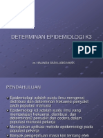 Determinan Epid