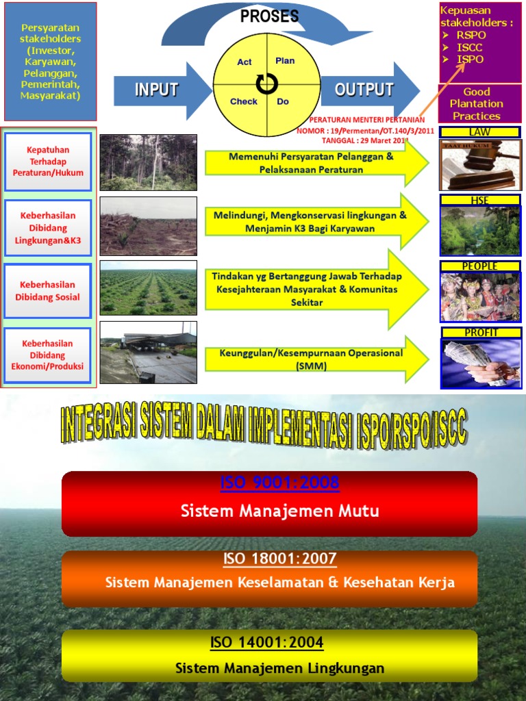 Prinsip ISPO dan RSPO dalam Perkebunan | PDF
