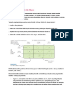 IE Matrix Analysis