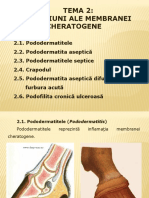 TEMA 2. Patologiile Membranei Cheratogene