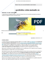 Abejas - Confirmado - Los Pesticidas Están Matando en Masa A Las Abejas - Público