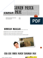 Pasca Panen Padi