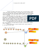 Jocuri Sportive PT Carte