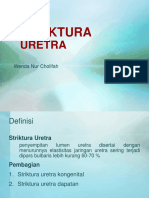 Wenda TK Striktura Uretra - Copy