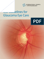ICOGlaucomaGuidelines.pdf