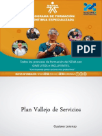 Plan Vallejo Servicios 2017