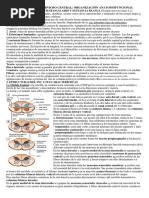 Psicobiología 2