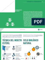 19 Irradiación de Moscas