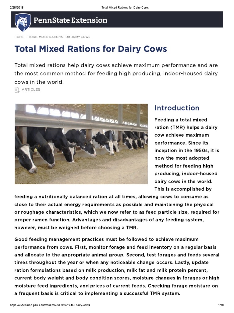 Total Mixed Rations for Dairy Cows Animal Feed Dairy Cattle