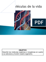 MOLECULAS-ORGANICAS-E-INORGANICAS-primero-medio.pdf