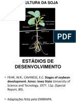 A cultura da soja: estádios de desenvolvimento e importância