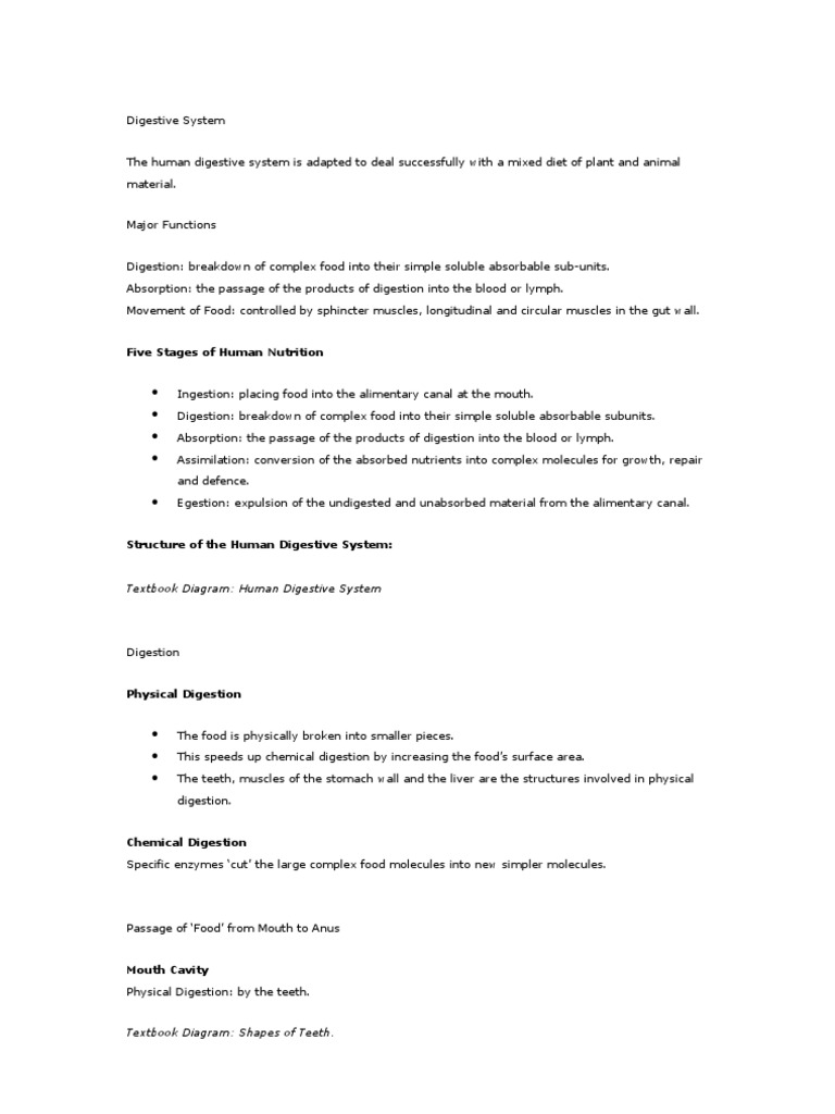 Five Stages Of Human Nutrition Textbook Diagram Human Digestive
