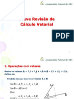 Rev_calc_vet.pdf