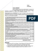 Indice de Esfuerzo Del Cuidador PDF