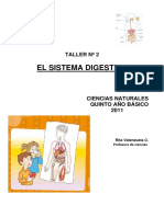 Guia Sistema Digestivo PDF