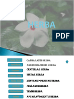 herbapptx-131026143106-phpapp02