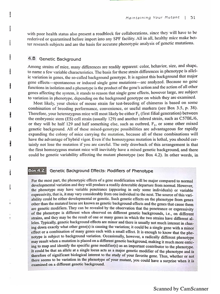Phenot Ic: Scanned by Camscanner | PDF | Computing And Information ...