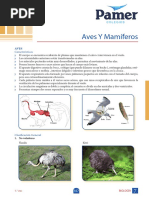 Biologia_1° Año_Sem 7_Aves y mamíferos