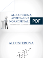 Aldosterona, Adrenalina y Noradrenalina