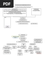 Pathophysiology of Diabetes Mellitus Type 2