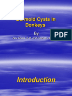 Dermoid Cysts in Donkeys