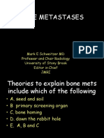 Bone Metsastases