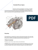 Brachial Plexus Injury