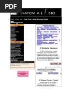 Anatomia Do Cérebro