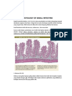 Histology of Small Intestine