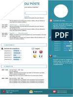 Template CV 3