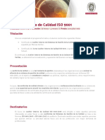 Auditor de Calidad Iso 9001 2008