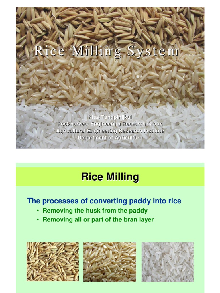Rice Milling Process Overview | PDF | Rice | Agriculture