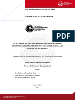 PAZ_GUILLEN_ANDRES_ACCION_NULIDAD.pdf