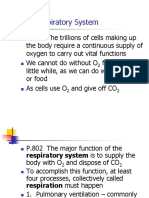 The Respiratory System