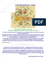 Plants in The Wheel of The Year - March