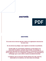 Anatomia y Seguridad Industrial