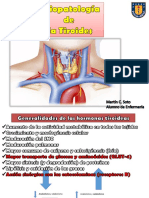 Fisiopatología Del S. Endocrino