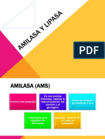 amilasaylipasa-130321002723-phpapp02