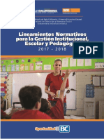 10 8 17 LINEAMIENTOS SEB SEBS 2017-2018.pdf