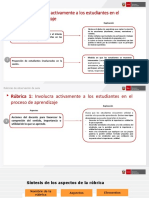 Resumen de Rubricas de Observación