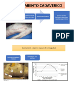 Enfriamiento Cadaverico