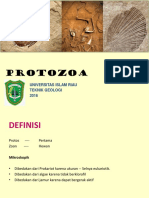 Paleon # 2 - Protozoa