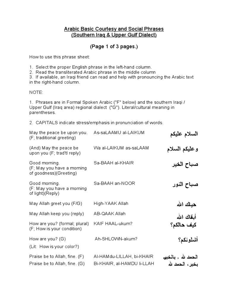 DAILY USE ARABIC SENTENCES PDF WITH MEANING visual data 5