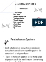 Penatalaksanaan Spesimen